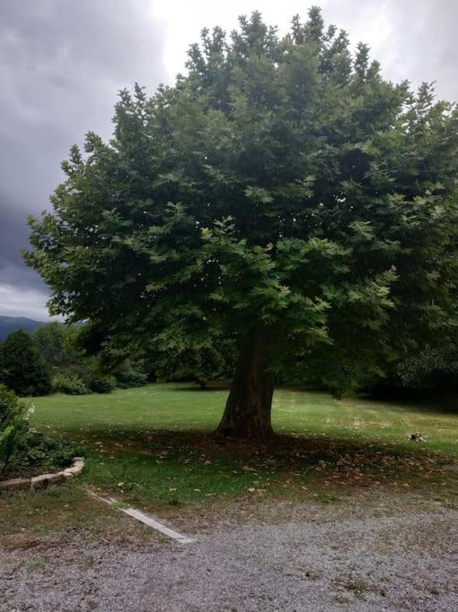 Logement Entier Dans Un Ecrin De Verdure Bidos Exteriér fotografie