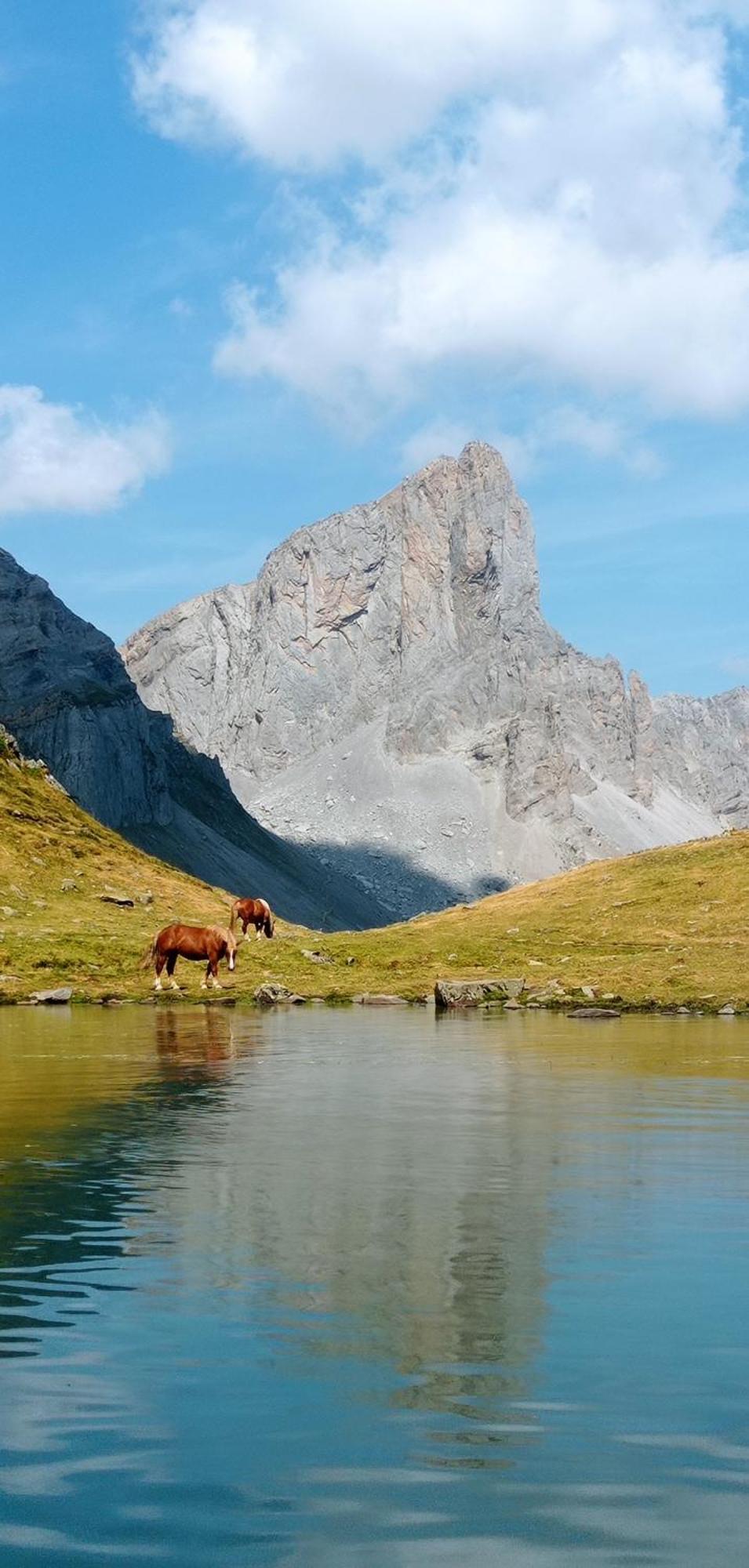 Logement Entier Dans Un Ecrin De Verdure Bidos Exteriér fotografie
